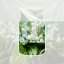 Yankee candle Signature Small, Clean Cotton