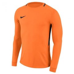 Brankářský dres Nike Dry Park III