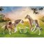Playmobil Ponies and Foals 71000