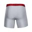 Under Armour UA Tech 6in Men's Boxer Briefs, 2-Pack - Color: Gray, Size: S
