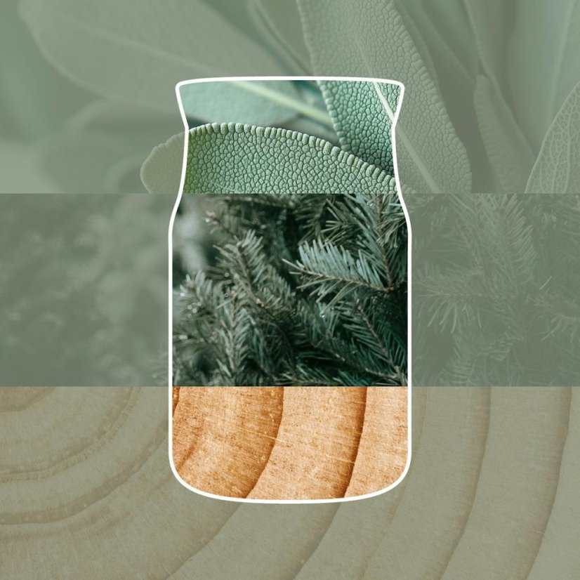 Yankee candle Signature Small Candle, Silver Sage & Pine