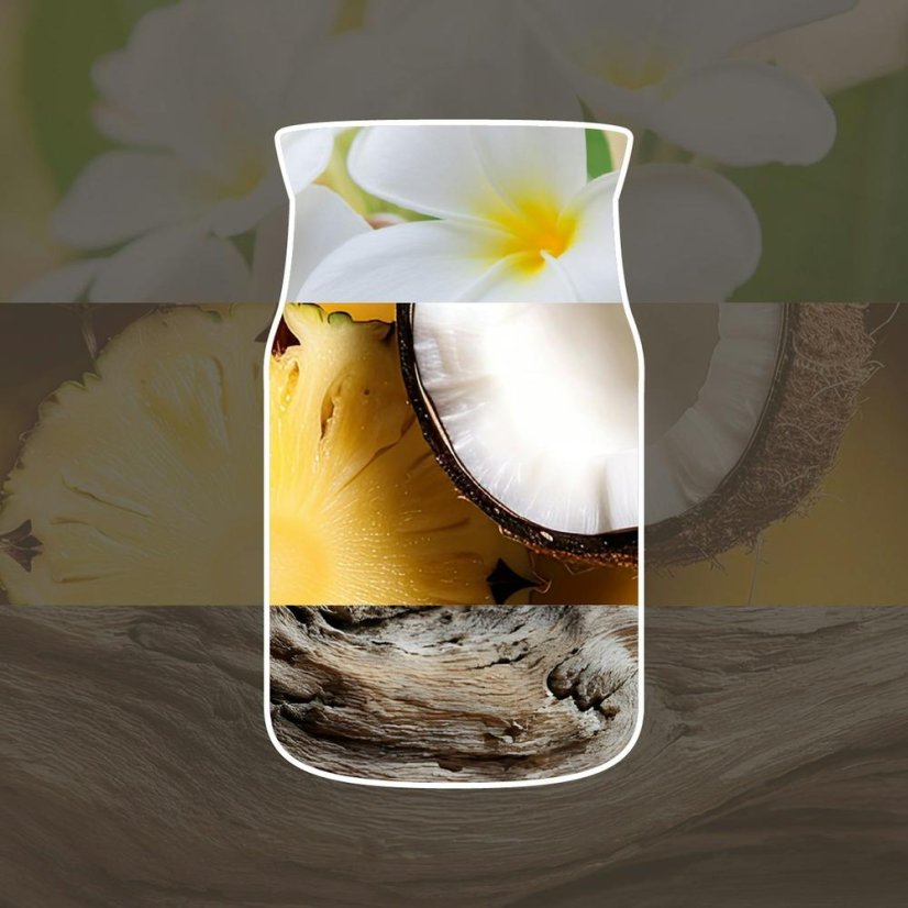 Nachfüllpackungen für Yankee candle-Lufterfrischer, 2 Stück, Black Coconut