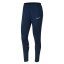 Dámské kalhoty Nike Dri-FIT Academy - Farbe: Grau, Größe: M
