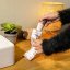 Kosmetische Gesichtsbürste Cecotec Bamba FaceCare TotalClean 3371