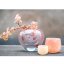 Glasblumentopf DutZ Pot Salmon