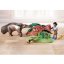 Playmobil 71012 Anteater Care