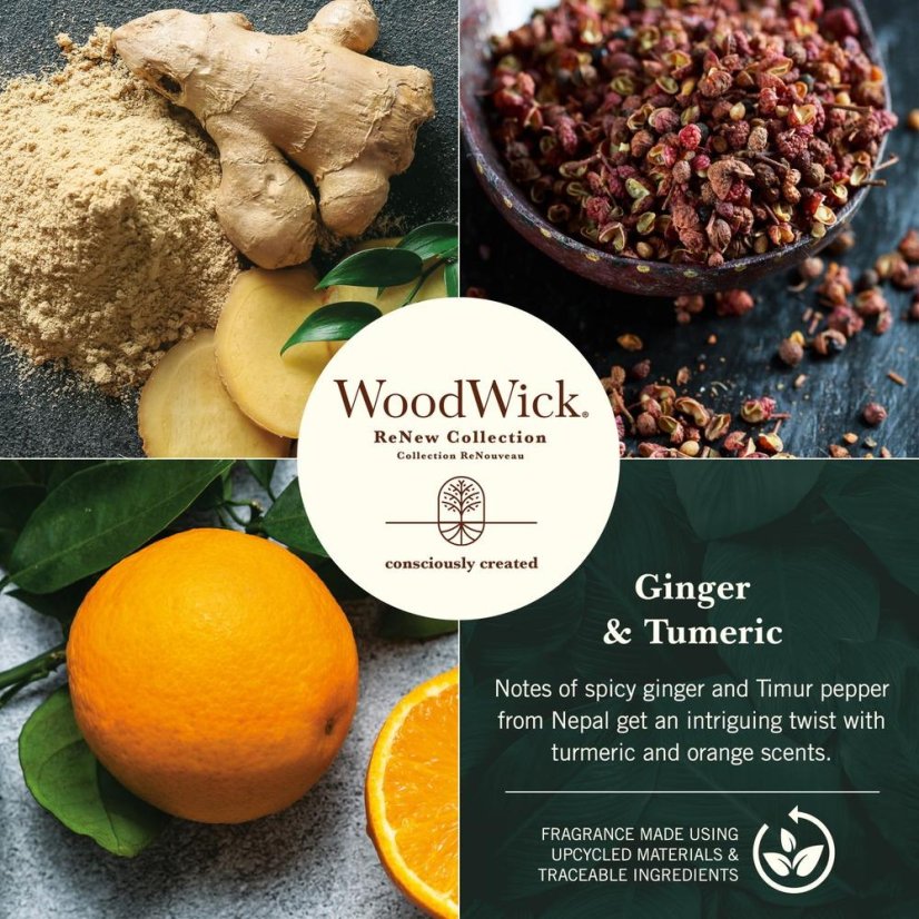 WoodWick ReNew Kerze groß, Ingwer & Kurkuma