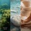 WoodWick-Kerze, groß, Cedarwood & Ocean Moss
