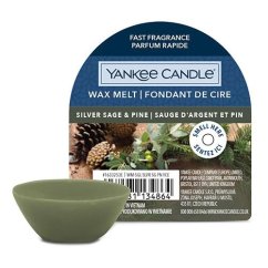 Vonný vosk Yankee Candle 22 g, Silver Sage & Pine