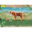 Playmobil Tiger 71055