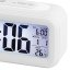 SLD 3068S/WH zegar Trevi