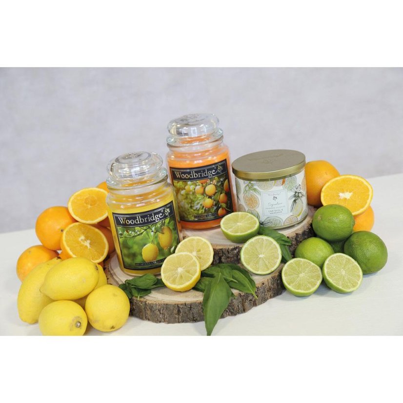 WoodBridge Signature Candle, Lime Basil Mandarin
