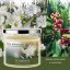 Duftkerze Five Elements Tuberose, 420 g, 3 Dochte