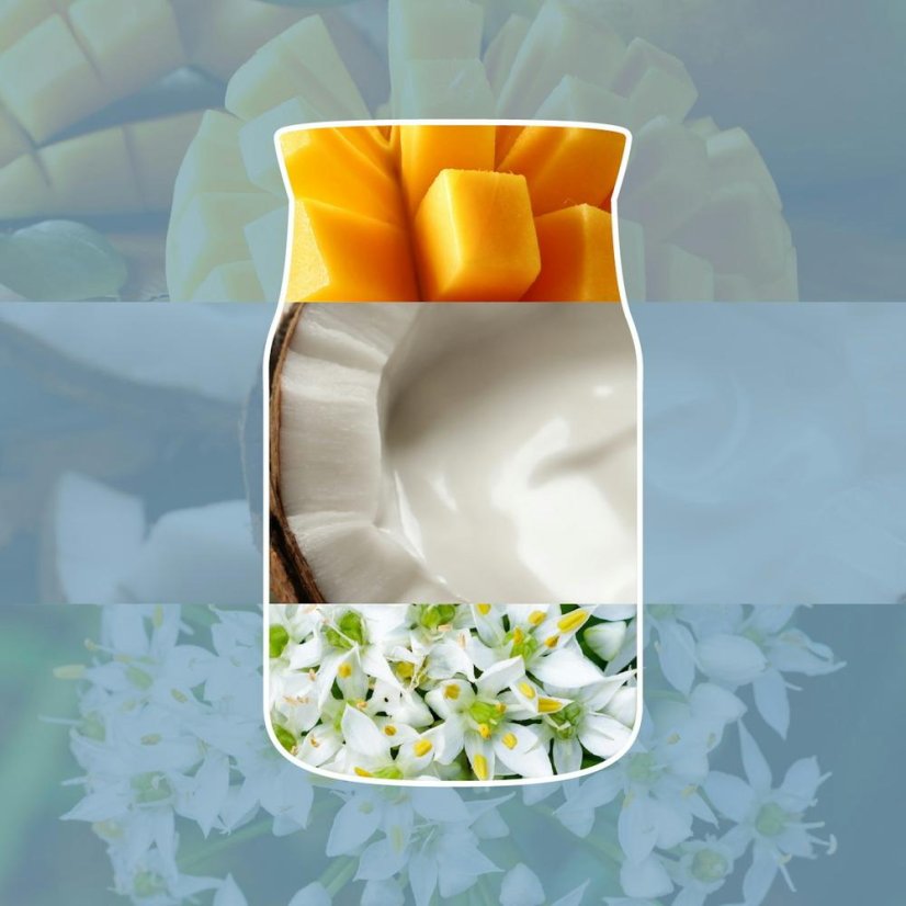 Yankee candle Signature Small Candle, Salted Coconut