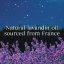 Yankee candle Signature Small Candle, Midsummer’s Night