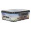 Dino World T-Rex Snack Box with Compartments