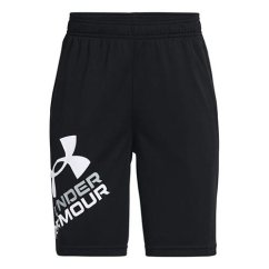 UA Prototype 2.0 Logo Shorts-BLK