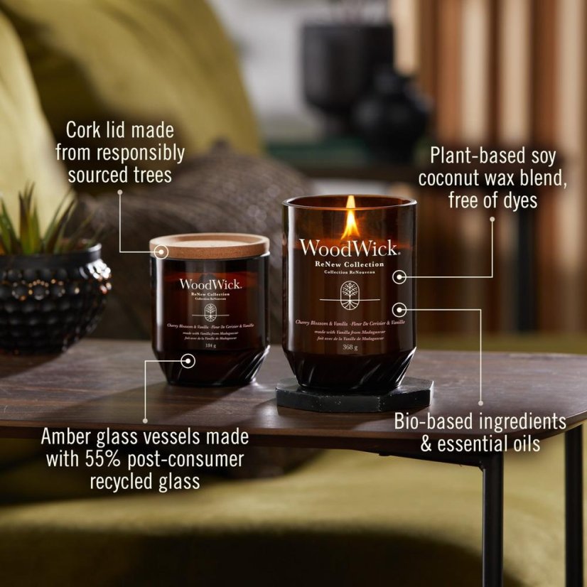 WoodWick ReNew Kerze groß, Ingwer & Kurkuma