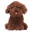 Cody Top Model Fur Ever Friends Plush Dog