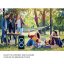 AKAI DJ-880 black speaker
