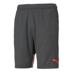 Men's Puma Individual Cup sports shorts