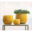 Glasblumentopf DutZ Gold Topaz