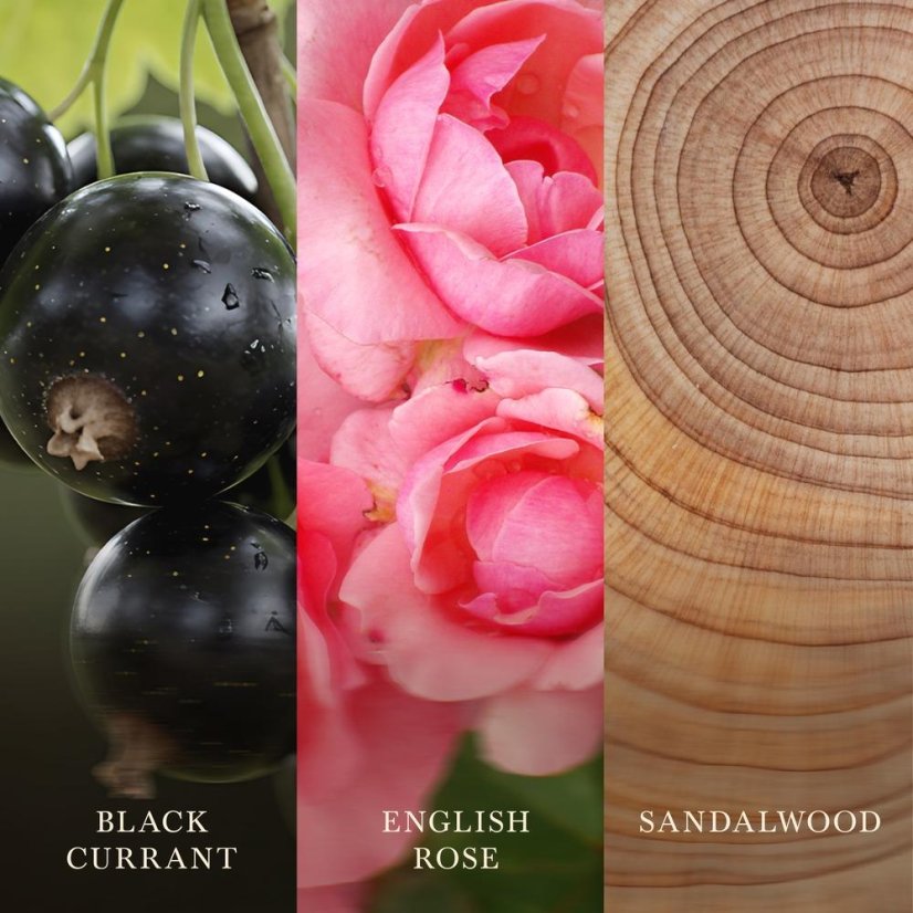 WoodWick-Kerze, groß, Rose Blush