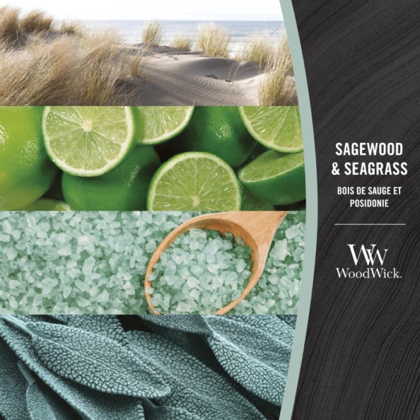 WoodWick Boat Candle, Sagewood & Seagrass
