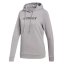 Dámská mikina Adidas Terrex Graphic Logo - Farbe: Grau, Größe: XL