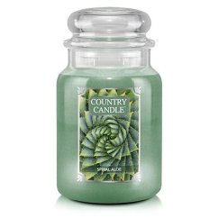 Country Candle large, Spiral Aloe
