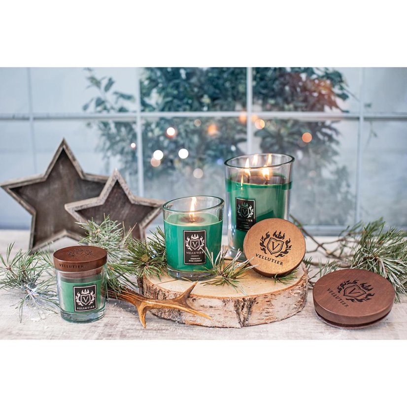 Vellutier small candle, Siberian Pine Forest