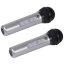 Trevi EM 415R wireless microphone set