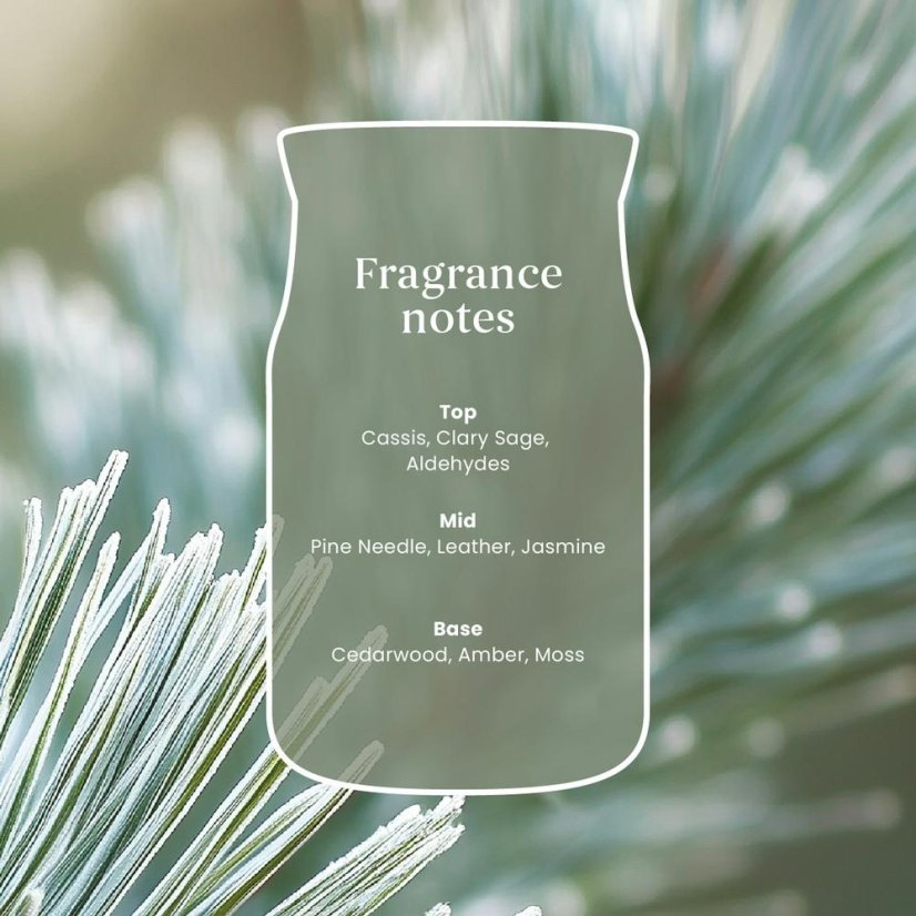 Yankee candle Signature Small Candle, Silver Sage & Pine