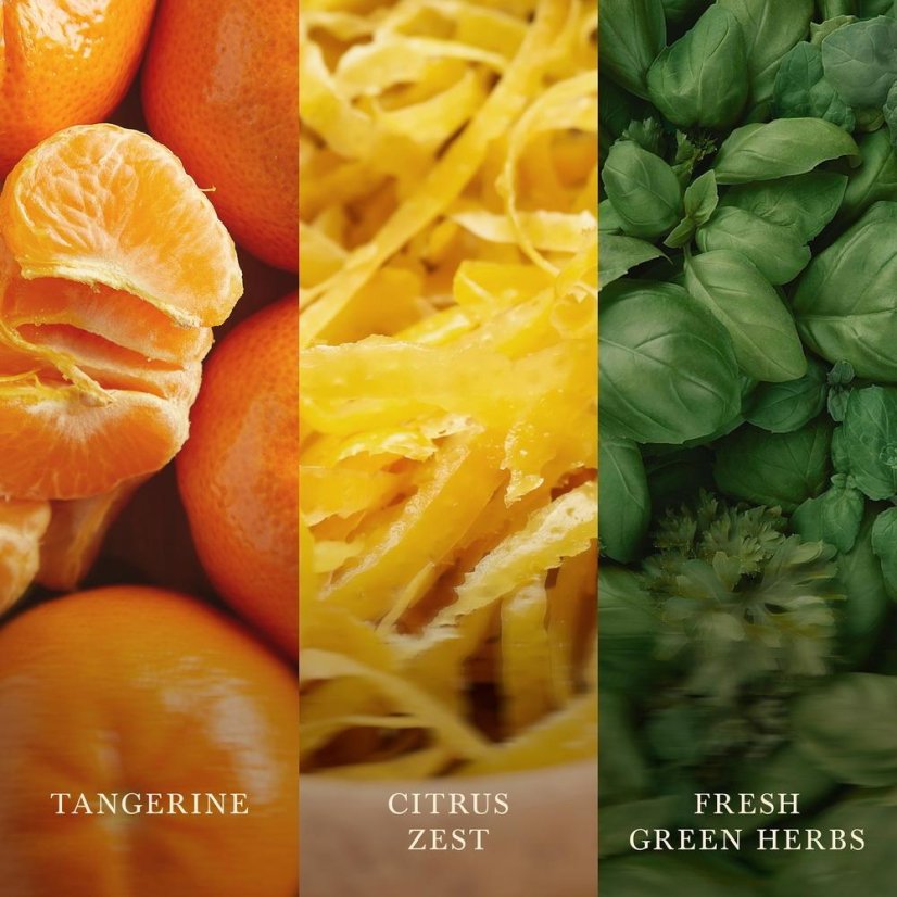 WoodWick Large Candle, Tangerine & Citron