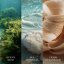WoodWick-Kerze im Schiffsglas, Cedarwood & Ocean Moss