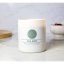 Świeca Colonial Candle Wellness, Basil & Mint