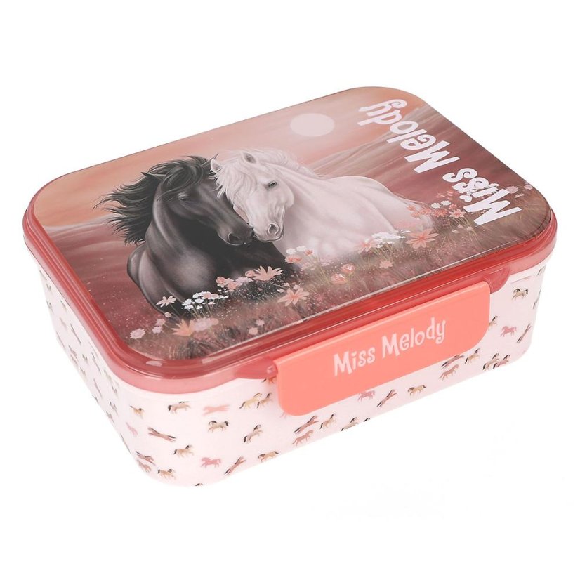 Miss Melody Blossom Pony Lunch Box with Compartments