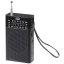 Radio Trevi RA 7F15 BK