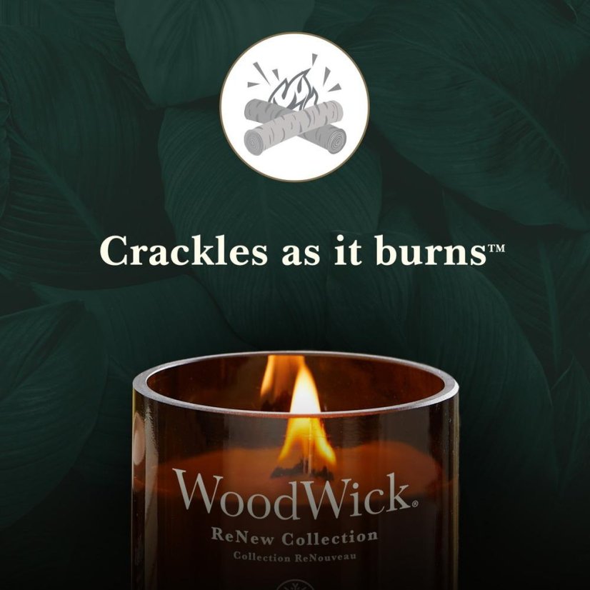 WoodWick ReNew Kerze groß, Ingwer & Kurkuma
