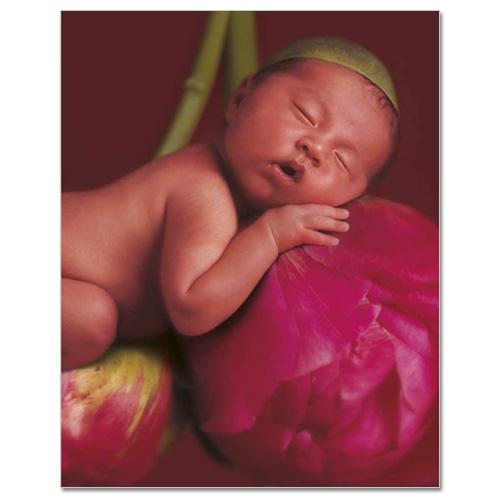 Kniha Anne Geddes Mých Prvních Pět Let, Flower X-Large