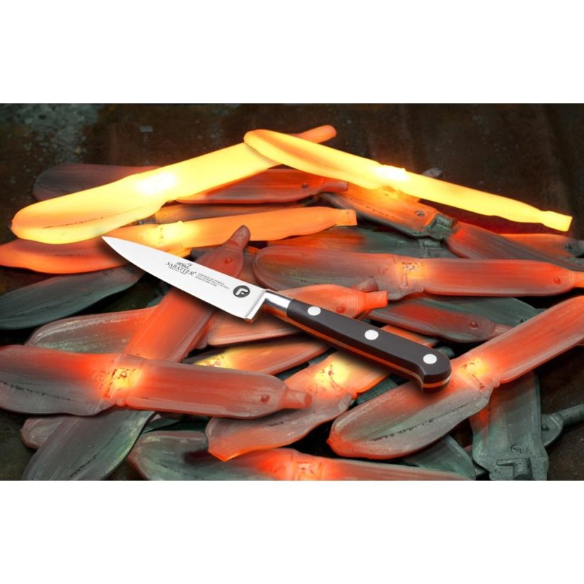 Santoku knife Lion Sabatier Ideal inox 814780