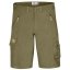 Abisko Shorts M