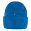 1960 Logo Hat