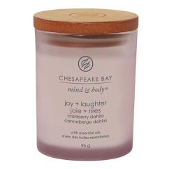 Svíčka Chesapeake Bay Candle malá, Joy & Laughter