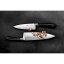 Küchenmesser Lion Sabatier EDONIST Jais 806580