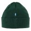 Kids 1960 Logo Hat