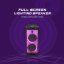 AKAI Party box 800 black speaker