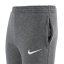 Nike Park 20 Kids' Pants - Color: Gray, Size: 128-137