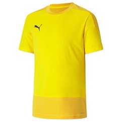 Men's Puma Team Goal 23 Training T-shirt