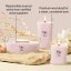 WoodWick-Kerze, klein, Rose Blush